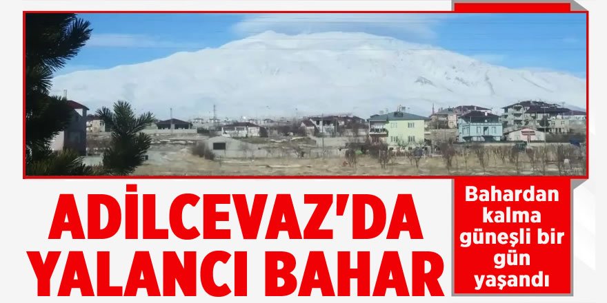 Adilcevaz'da Yalancı Bahar