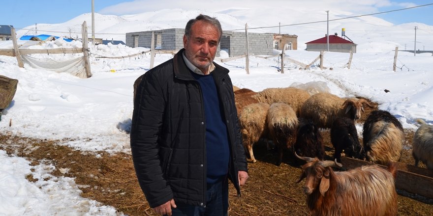 Kar Kalınlığının 4 Metreyi Bulduğu Köyde Besicilerin Zorlu Mesaisi