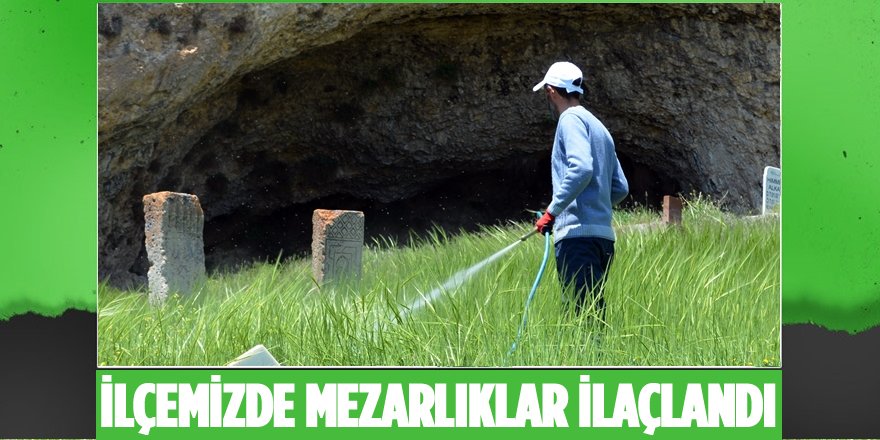 Adilcevaz Belediyesi Ekipleri Mezarlıklarda İlaçlama Yaptı