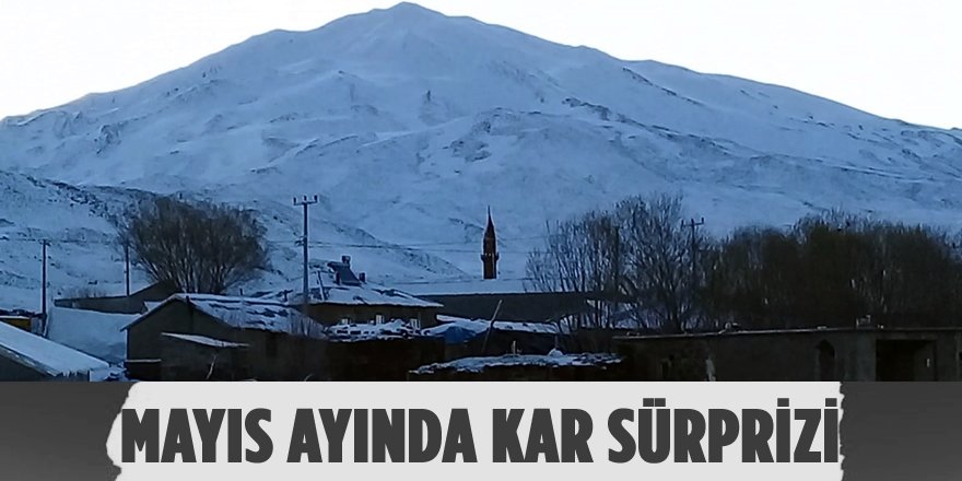 Haziran'a Sayılı Günler Kala Adilcevaz’da Kar Yağışı