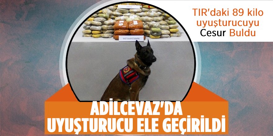 TIR'daki 89 Kilo Uyuşturucuyu 'Cesur' Buldu