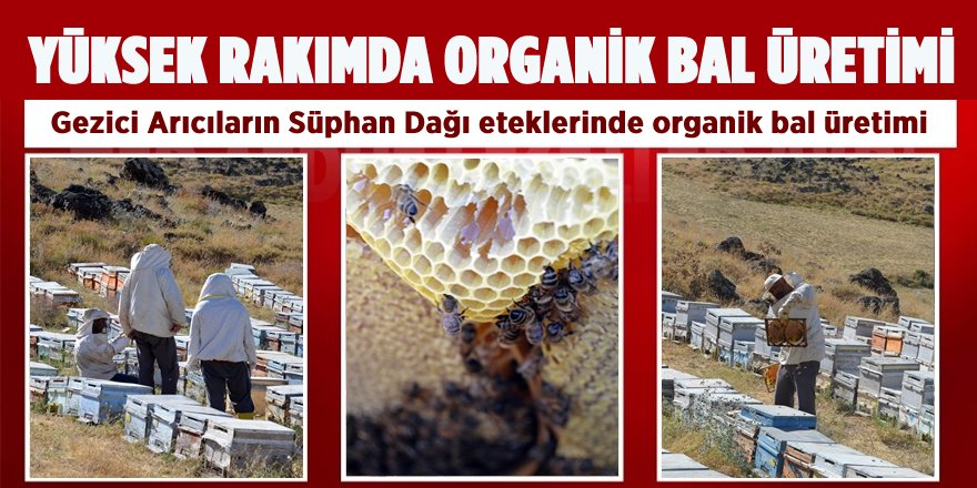 Gezici Arıcıların Süphan Dağı Eteklerinde Organik Bal Üretimi