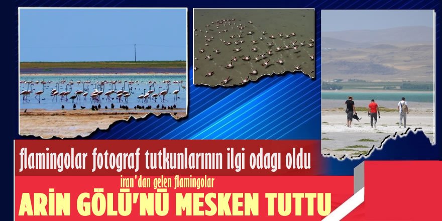 Flamingolar Arin Gölünü Mesken Tuttu