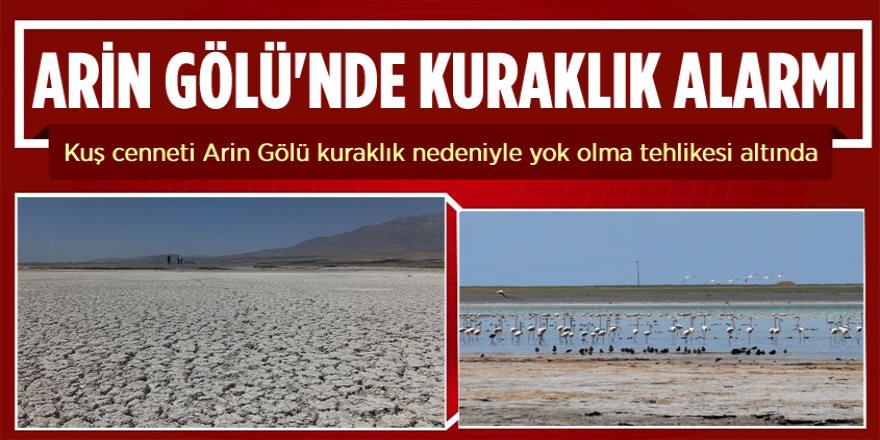 Adilcevaz’da ki Kuş Cenneti Arin Gölü Yok Olma Tehlikesi Altında