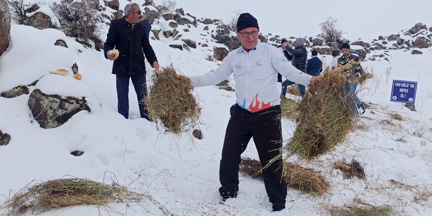 Yaban Hayvanları İçin Süphan Dağı Eteklerine Yem Bırakıldı