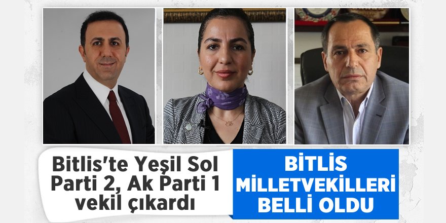 Bitlis'te Yeşil Sol Parti 2, Ak Parti 1 Vekil Çıkardı