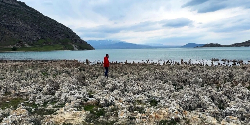 Van Gölü Sahilleri Mikrobiyalit Tarlasına Döndü