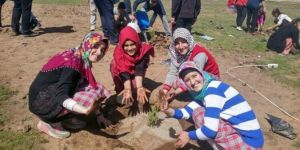 Taşharman Köyünde Fidan Şenliği