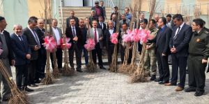 Adilcevaz’da Çiftçilere 6 Bin 500 Fidan Dağıtıldı
