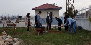 Adilcevaz KYK Yurdunda Fidan Dikme Etkinliği