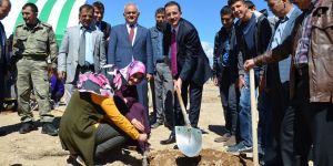 Adilcevaz’da Üniversite Öğrencileri Ceviz Fidanı Dikti