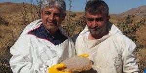 Bitlis’e Tarımsal ve Hayvansal Ürünlerden 2,5 Milyar TL Girdi Sağlandı
