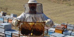 Gezici Arıcıların Süphan Dağı Eteklerinde Organik Bal Üretimi