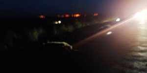Otomobilin Çarptığı Çok Sayıda Koyun Telef Oldu