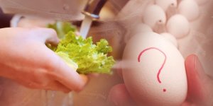 Gıda Zehirlenmesinin Gizli Tehdidi: Salmonella