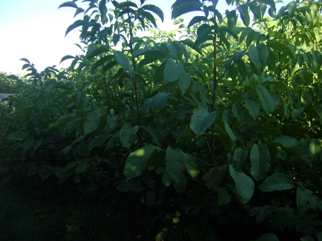 6.20140414203951.jpg