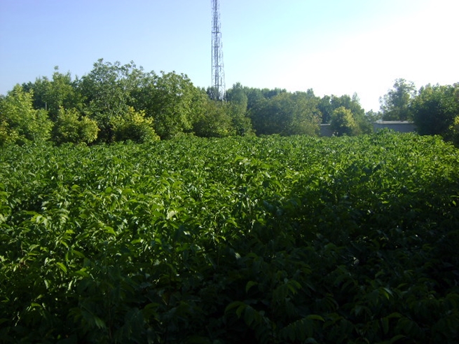 8.20140414204023.jpg