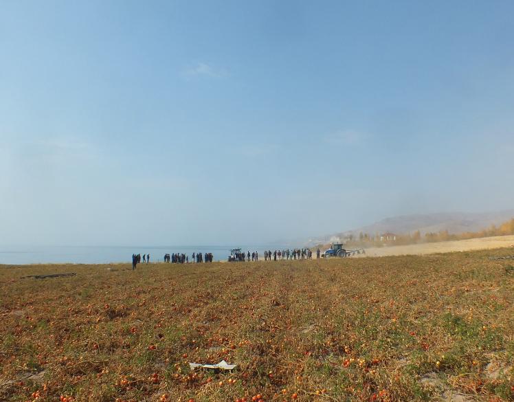 aw209139_03.jpg