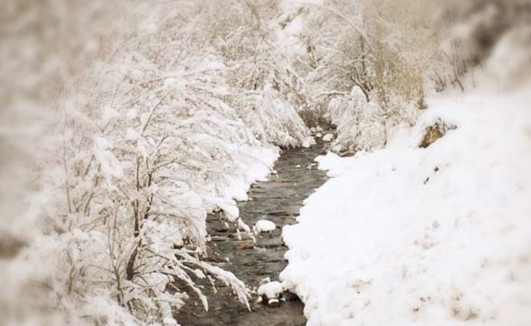 aw932070_03.jpg