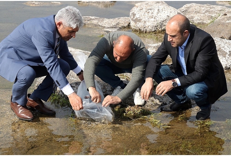 bitlisteki-nazik-ve-aygir-gollerine-70-bin-yavru-balik-birakildi-20200523aw02-12.jpg