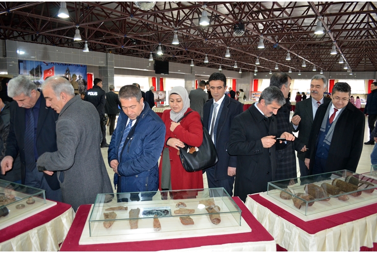 dsc_00011-(29).jpg