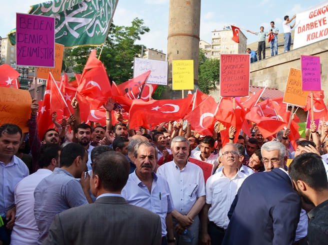 dsc_0003.20160721093925.jpg dsc_0003.20160721093925.jpg