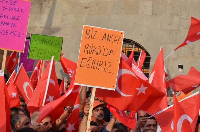 dsc_0011.20160721093952.jpg dsc_0011.20160721093952.jpg