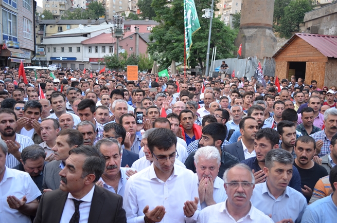 dsc_0061.20160721094403.jpg dsc_0061.20160721094403.jpg