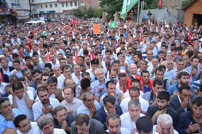 dsc_0062.20160721094418.jpg dsc_0062.20160721094418.jpg