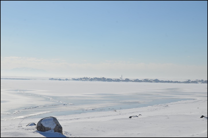 dsc_0084-001.jpg
