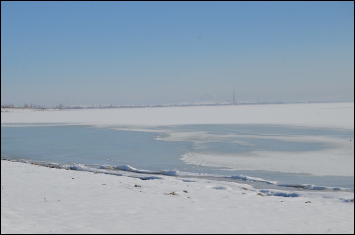 dsc_0087-001.jpg