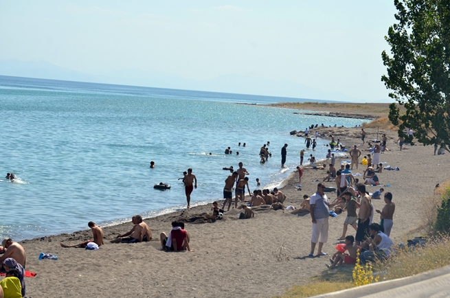dsc_0406.jpg