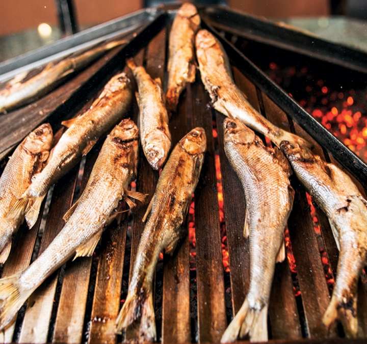 fish4.jpg