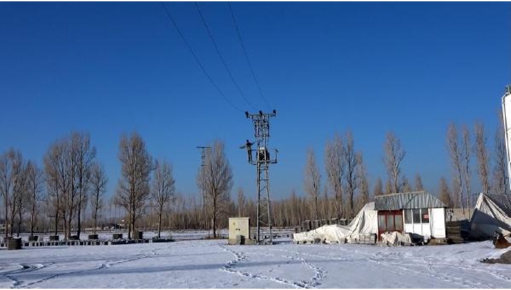 kuslarin-elektrik-akimina-kapilmamasi-icin-tr-4-13841077_o.jpg