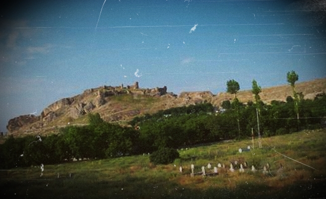 r7.jpg