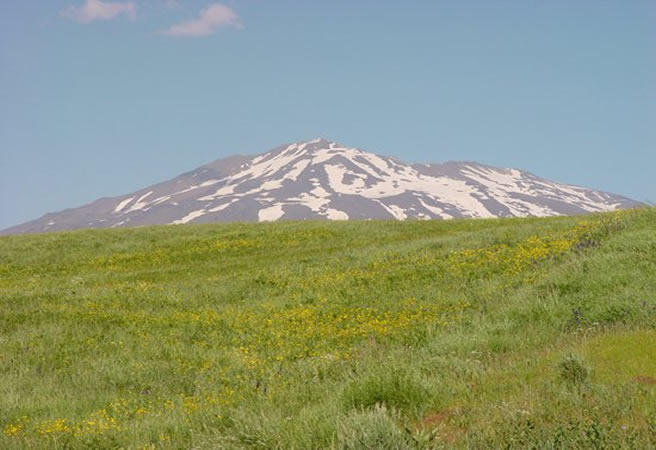 sutey-yaylasi.jpg