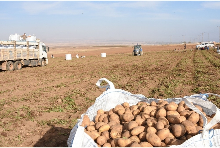 tarim-ve-hayvancilik-sektoru-2020-yilinda-bitlise-3-milyar-tl-kazandirdi-9-egacpzfa.jpg